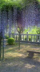 2016050216490000.jpg